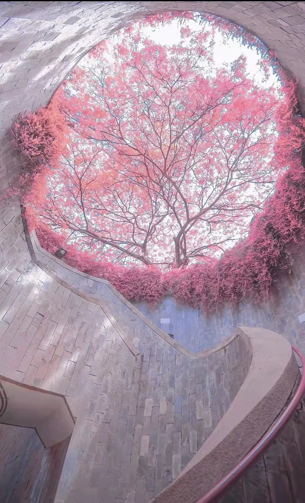 春