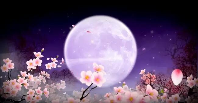 32054+月满中秋，情满社区