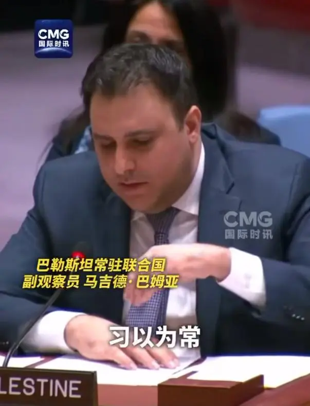 巴勒斯坦代表捶桌怒斥美国:“我们也是人,应该被平等对待”