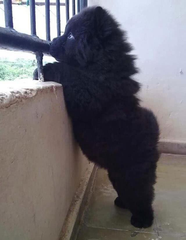 弱弱的问一句