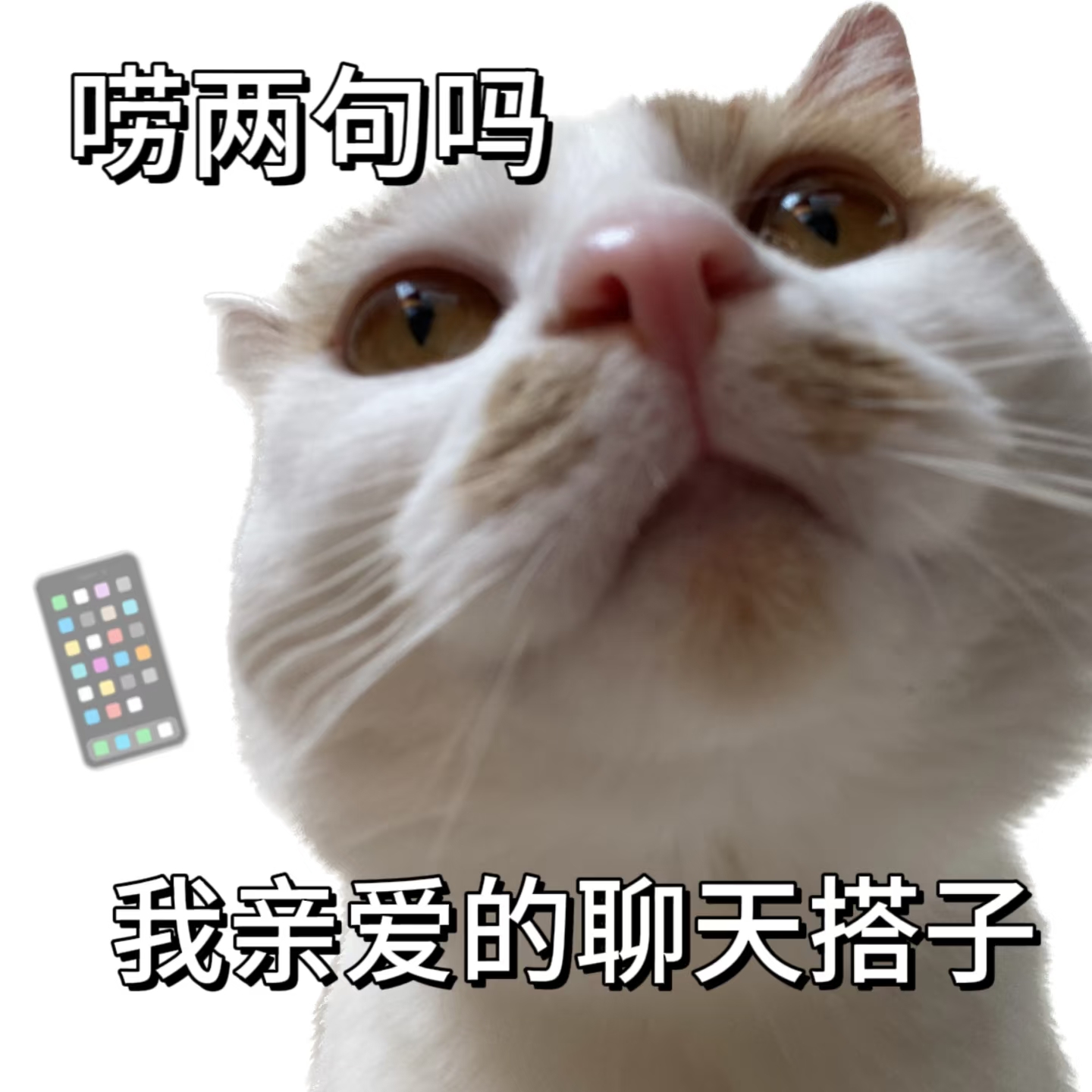 唠嗑啊